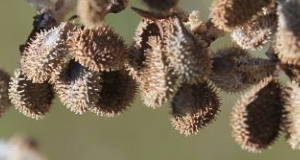 IMG_9114-2