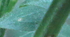 IMG_0106