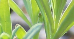 2011-07-22-019