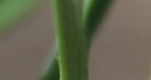 2013-08-13-020