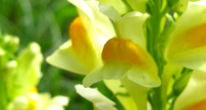 3974255883_0ee3636aef_b-2